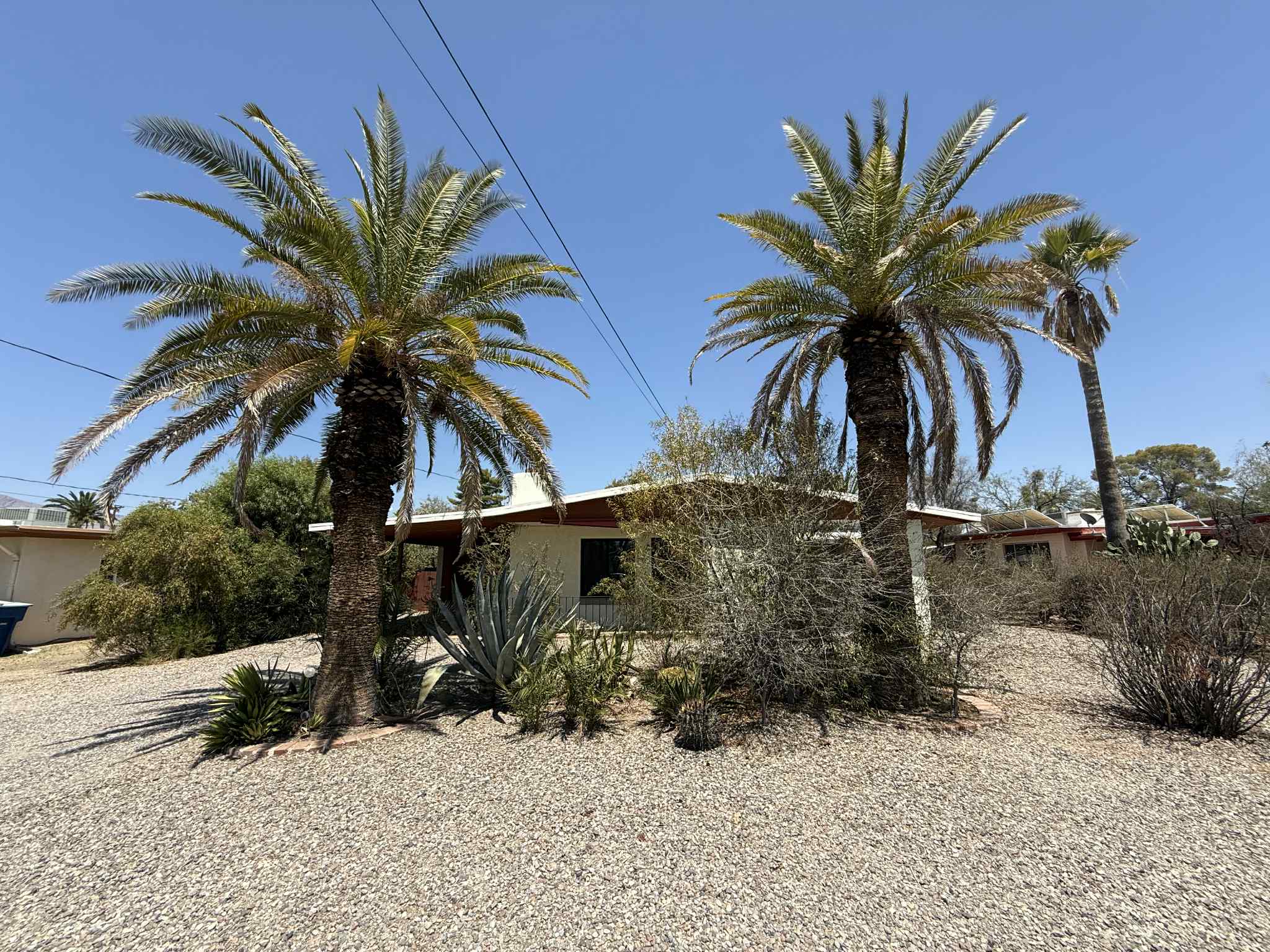3350 North Tucson Boulevard